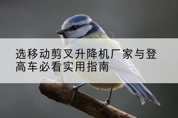 和县电动升降机厂家-选移动剪叉升降机厂家与登高车必看实用指南