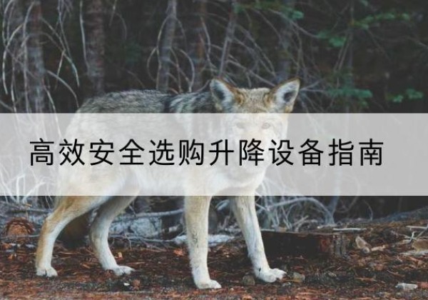 和县升降货梯厂家推荐-*安全选购升降设备指南